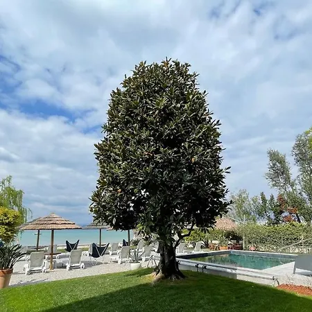 Le Petit Du Lac